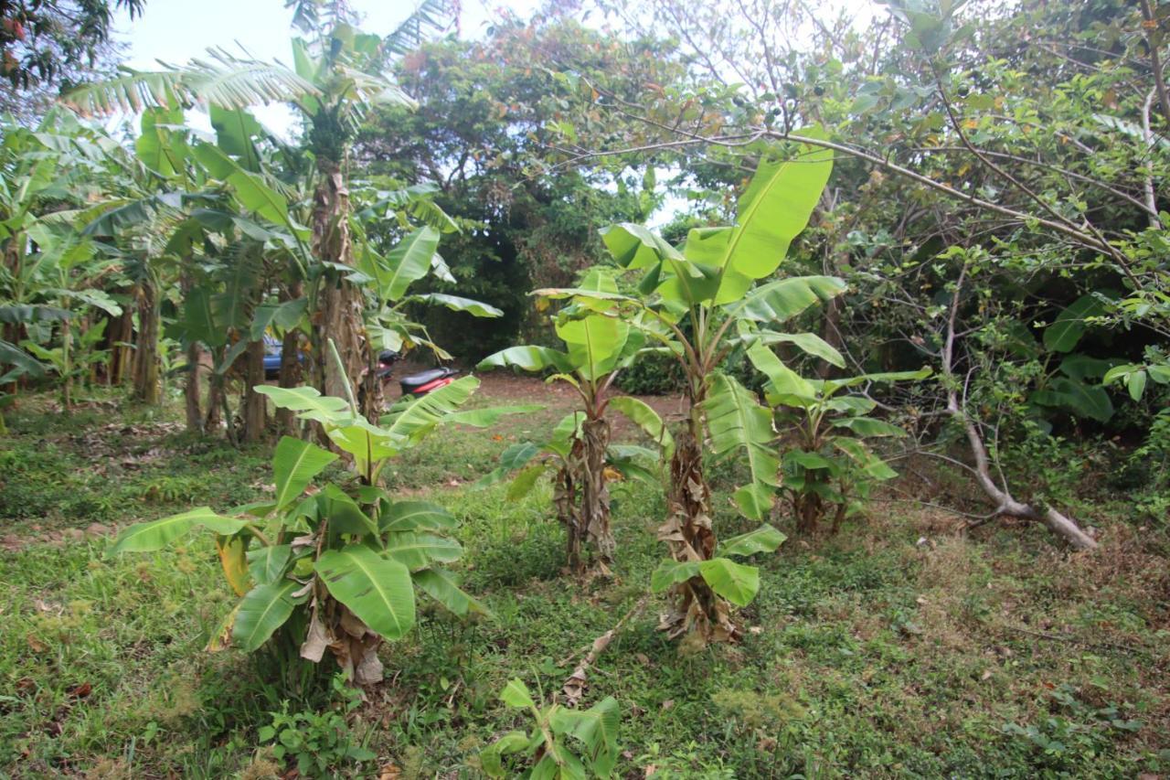 La Sirenita - Ometepe Hotel Altagracia Buitenkant foto